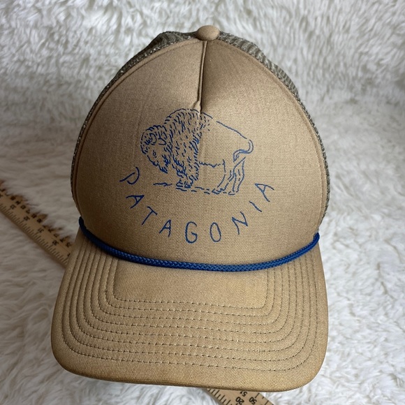Patagonia Accessories Patagonia Da Buffalo Master Chief Trucker